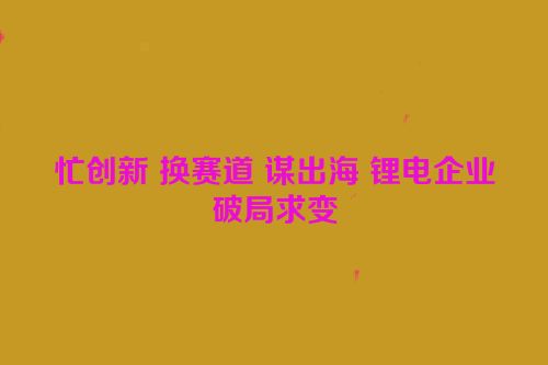 忙创新 换赛道 谋出海 锂电企业破局求变