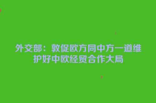外交部：敦促欧方同中方一道维护好中欧经贸合作大局