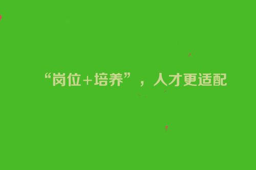 “岗位+培养”，人才更适配