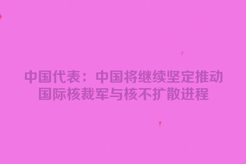 中国代表：中国将继续坚定推动国际核裁军与核不扩散进程