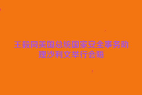 王毅同美国总统国家安全事务助理沙利文举行会晤