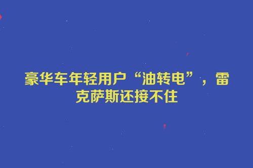 豪华车年轻用户“油转电”，雷克萨斯还接不住