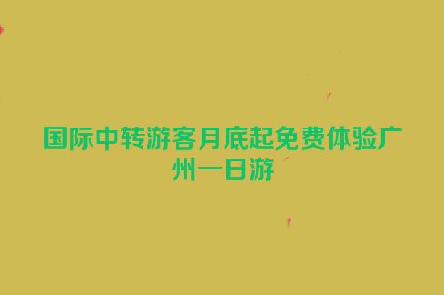 国际中转游客月底起免费体验广州一日游