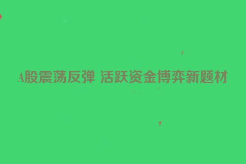 A股震荡反弹 活跃资金博弈新题材