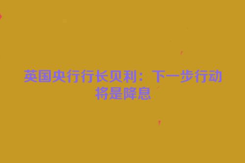 英国央行行长贝利：下一步行动将是降息