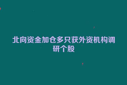 北向资金加仓多只获外资机构调研个股
