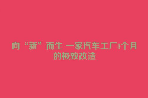 向“新”而生 一家汽车工厂8个月的极致改造