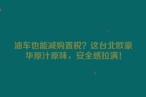 油车也能减购置税？这台北欧豪华原汁原味，安全感拉满！