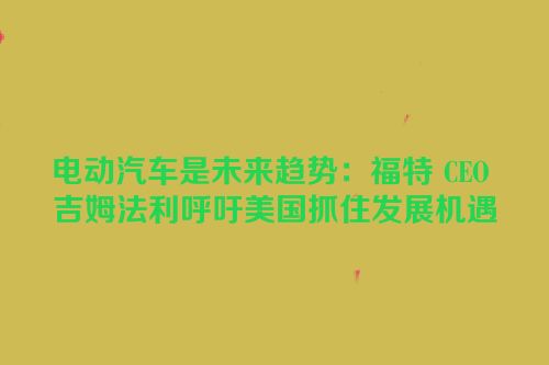 电动汽车是未来趋势：福特 CEO 吉姆法利呼吁美国抓住发展机遇