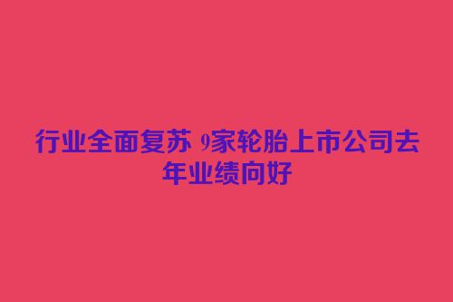 行业全面复苏 9家轮胎上市公司去年业绩向好