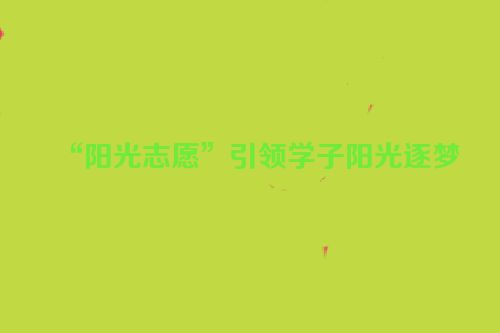 “阳光志愿”引领学子阳光逐梦