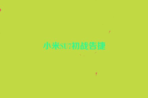 小米SU7初战告捷