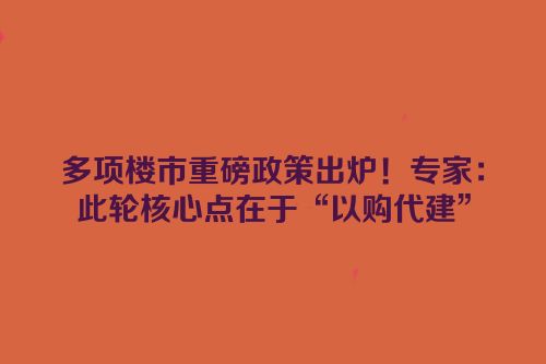 多项楼市重磅政策出炉！专家：此轮核心点在于“以购代建”