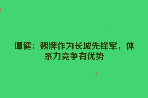 谭健：魏牌作为长城先锋军，体系力竞争有优势