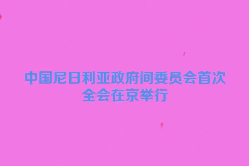 中国尼日利亚政府间委员会首次全会在京举行