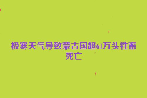 极寒天气导致蒙古国超61万头牲畜死亡