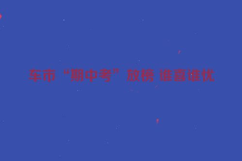 车市“期中考”放榜 谁喜谁忧