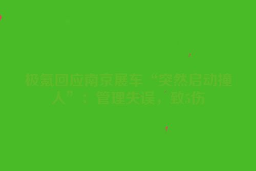 极氪回应南京展车“突然启动撞人”：管理失误，致5伤