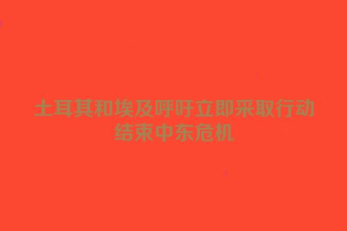 土耳其和埃及呼吁立即采取行动结束中东危机