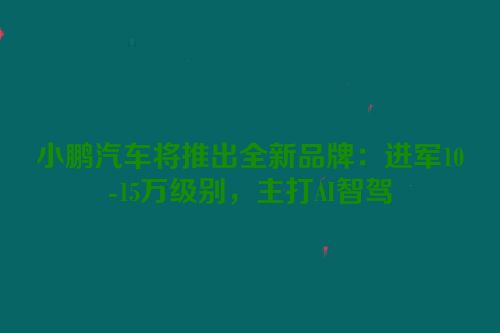 小鹏汽车将推出全新品牌：进军10-15万级别，主打AI智驾