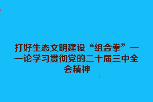打好生态文明建设“组合拳”——论学习贯彻党的二十届三中全会精神