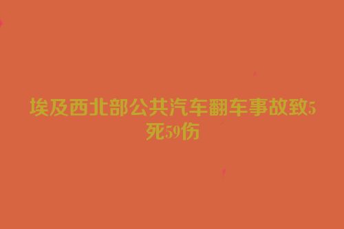 埃及西北部公共汽车翻车事故致5死59伤