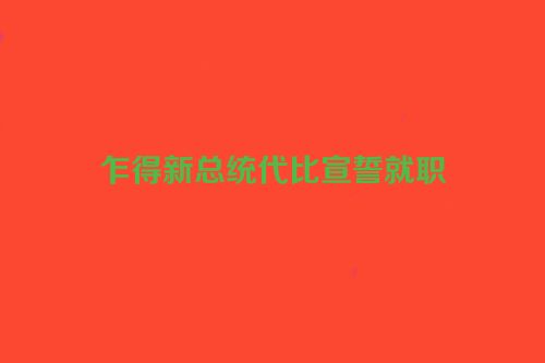 乍得新总统代比宣誓就职