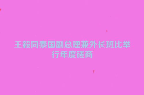 王毅同泰国副总理兼外长班比举行年度磋商