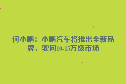 何小鹏：小鹏汽车将推出全新品牌，驶向10-15万级市场