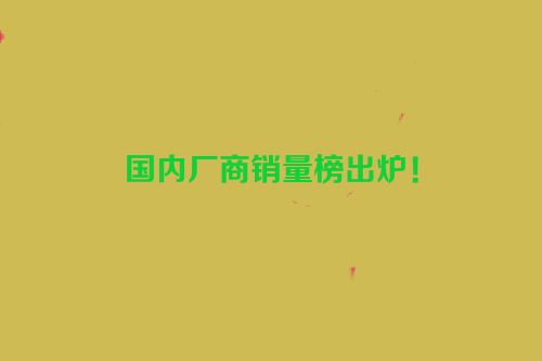 国内厂商销量榜出炉！