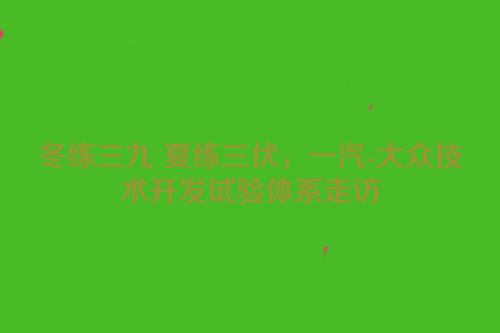 冬练三九 夏练三伏，一汽-大众技术开发试验体系走访
