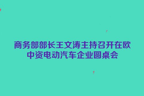 商务部部长王文涛主持召开在欧中资电动汽车企业圆桌会