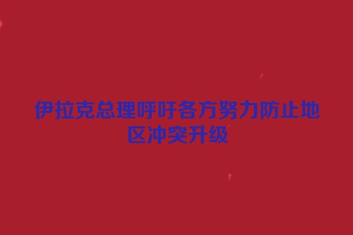 伊拉克总理呼吁各方努力防止地区冲突升级