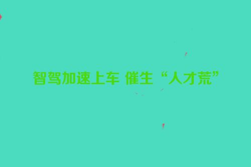 智驾加速上车 催生“人才荒”
