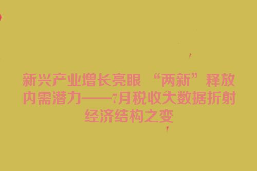 新兴产业增长亮眼 “两新”释放内需潜力——7月税收大数据折射经济结构之变