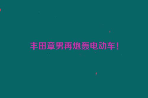 丰田章男再炮轰电动车！