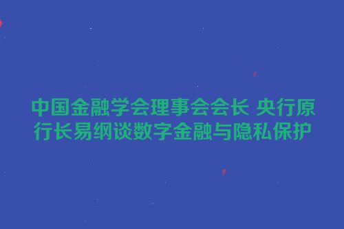 中国金融学会理事会会长 央行原行长易纲谈数字金融与隐私保护