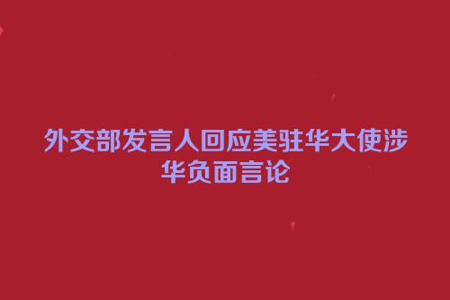 外交部发言人回应美驻华大使涉华负面言论