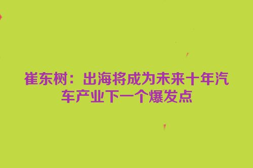 崔东树：出海将成为未来十年汽车产业下一个爆发点