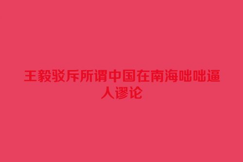 王毅驳斥所谓中国在南海咄咄逼人谬论