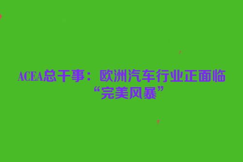 ACEA总干事：欧洲汽车行业正面临“完美风暴”
