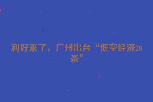 利好来了，广州出台“低空经济20条”