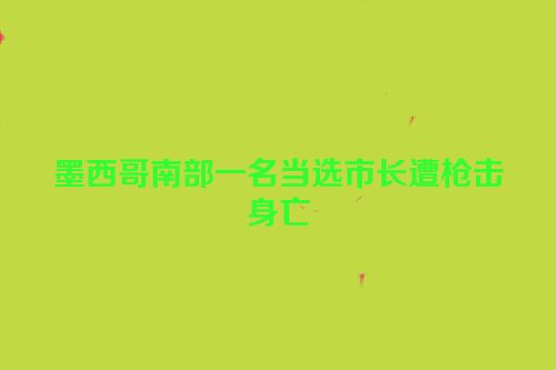 墨西哥南部一名当选市长遭枪击身亡