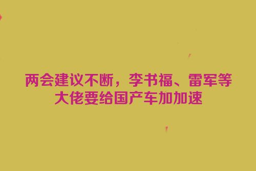 两会建议不断，李书福、雷军等大佬要给国产车加加速