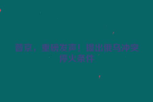 普京，重磅发声！提出俄乌冲突停火条件