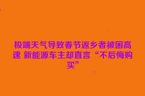 极端天气导致春节返乡者被困高速 新能源车主却直言“不后悔购买”