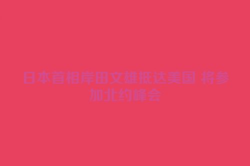 日本首相岸田文雄抵达美国 将参加北约峰会