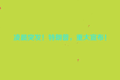 凌晨突发！特朗普，重大宣布！