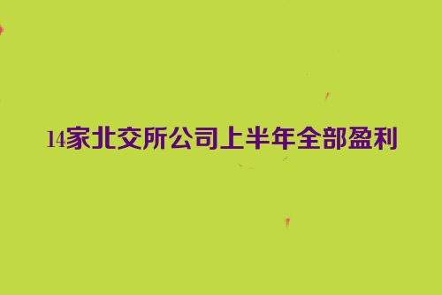 14家北交所公司上半年全部盈利