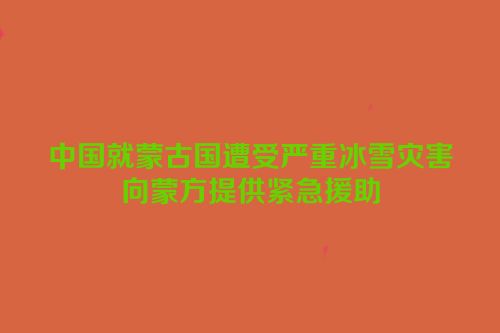 中国就蒙古国遭受严重冰雪灾害向蒙方提供紧急援助